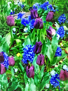 Spring Garden in Shades of Purple Photograph by Susan Savad Spring Garden in Shades of Purple Photograph by Susan Savad