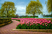 Spring Garden Photograph by Julie Palencia
