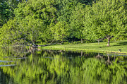 Spring Reflections Photograph by Cathy Kovarik