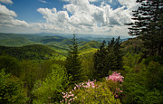Spring's Green Blanket Photograph by Doug McPherson