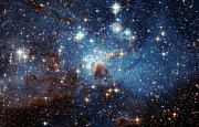 Starbirth Region Lh 95 Photograph by Science Photo Library