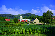 Stewartsville Farm Photograph by Raymond Salani III