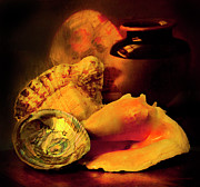 Still Life With Shells Photograph by Theresa Tahara Still Life With Shells Photograph by Theresa Tahara