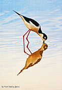 Stilt At Tilt  Photograph by Tom Janca