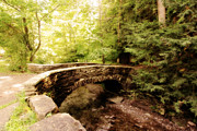 Stone Bridge  Photograph by Trina  Ansel