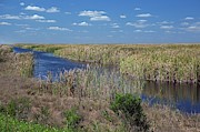 Stormwater Treatment Area Photograph by Science Photo Library