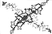 Strain Drawing by Daniel Rustad