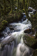 Stream on Eume River Galicia Spain Photograph by Sapiens Verbum