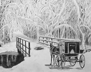 Stubborn Horse Drawing by Quwatha Valentine