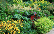 Summer Border Photograph by Science Photo Library