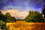 Summer Country Landscape Photograph by Lois Bryan Summer Country Landscape Photograph by Lois Bryan