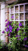 Summer English Garden Photograph by Julie Palencia
