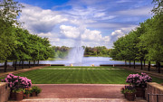 Summer Landscape Photograph by Julie Palencia