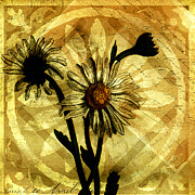Summer Song Digital Art by Bonnie Bruno