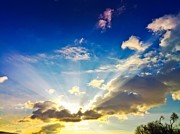 Sunburst Photograph by Chris Montcalmo