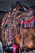 Sunday Saddle Photograph by Carla E