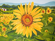 Sunflower - Burst of color Painting by Jan Dappen Sunflower - Burst of color Painting by Jan Dappen