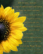 Sunflower Scripture Painting by Constance Woods