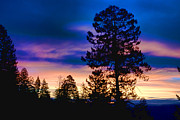 Sunrise Clearwater mountains Idaho Photograph by Ron Roberts