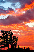 Sunrise Photograph by Mae Wertz
