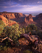 Sunrise on Independence Photograph by Ray Mathis