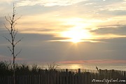 Sunrise Over Beach Dune Photograph by Robert Banach Sunrise Over Beach Dune Photograph by Robert Banach