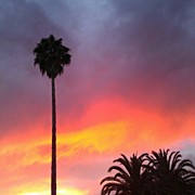Sunset California Photograph by CML Brown