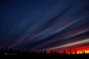Sunset Dan Creek Alaska Photograph by Fred Denner