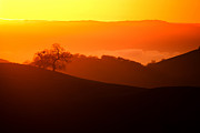 Sunset From Mt. Hamilton Photograph by Lisa Chorny Sunset From Mt. Hamilton Photograph by Lisa Chorny