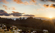 Sunset over Gray's Harbor  GH6 Photograph by Cathy Anderson