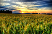 Sunset Over The Ohio Wheat Photograph by Michael Eingle