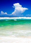 Surf's Up Photograph by Nicholas Blackwell