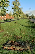 Sustainable Urban Drainage System Photograph by Science Photo Library