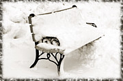 Take A Seat  And Chill Out - Park Bench - Winter - Snow Storm BW Photograph by Andee Design