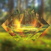 Take Me to the Magic Forest Digital Art by Beverly Claire Kaiya