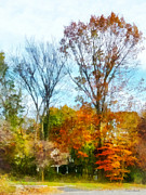 Tall Autumn Trees Photograph by Susan Savad Tall Autumn Trees Photograph by Susan Savad
