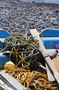 Tangles by the sea Photograph by Brenda Kean