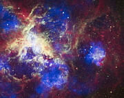 Tarantula Nebula Photograph by Adam Romanowicz