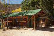 Taxidermyon the Holzwarth Historic Site Photograph by Fred Stearns