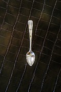 Tea Spoon Photograph by Carlos Caetano