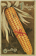Thanksgiving Postcards II Painting by Wild Apple Portfolio