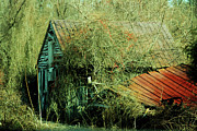 That Old Barn Photograph by Rebecca Sherman
