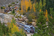 The Alluvial Falls Photograph by Jim Garrison