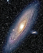 The Andromeda Galaxy Photograph by Jason T. Ware