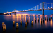 The Bay Lights Photograph by Alexis Birkill