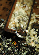 The Button Drawer Photograph by Rebecca Sherman