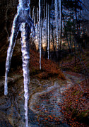 The Cave of the Crystal Daggers Photograph by Robert Charity The Cave of the Crystal Daggers Photograph by Robert Charity