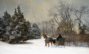 The Christmas Sleigh Photograph by Robin-Lee Vieira