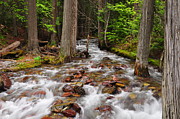 The Creek - Glacier National Park - Montana Photograph by Bruce Friedman