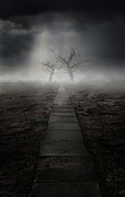 The Dark Land Photograph by Jaroslaw Blaminsky The Dark Land Photograph by Jaroslaw Blaminsky